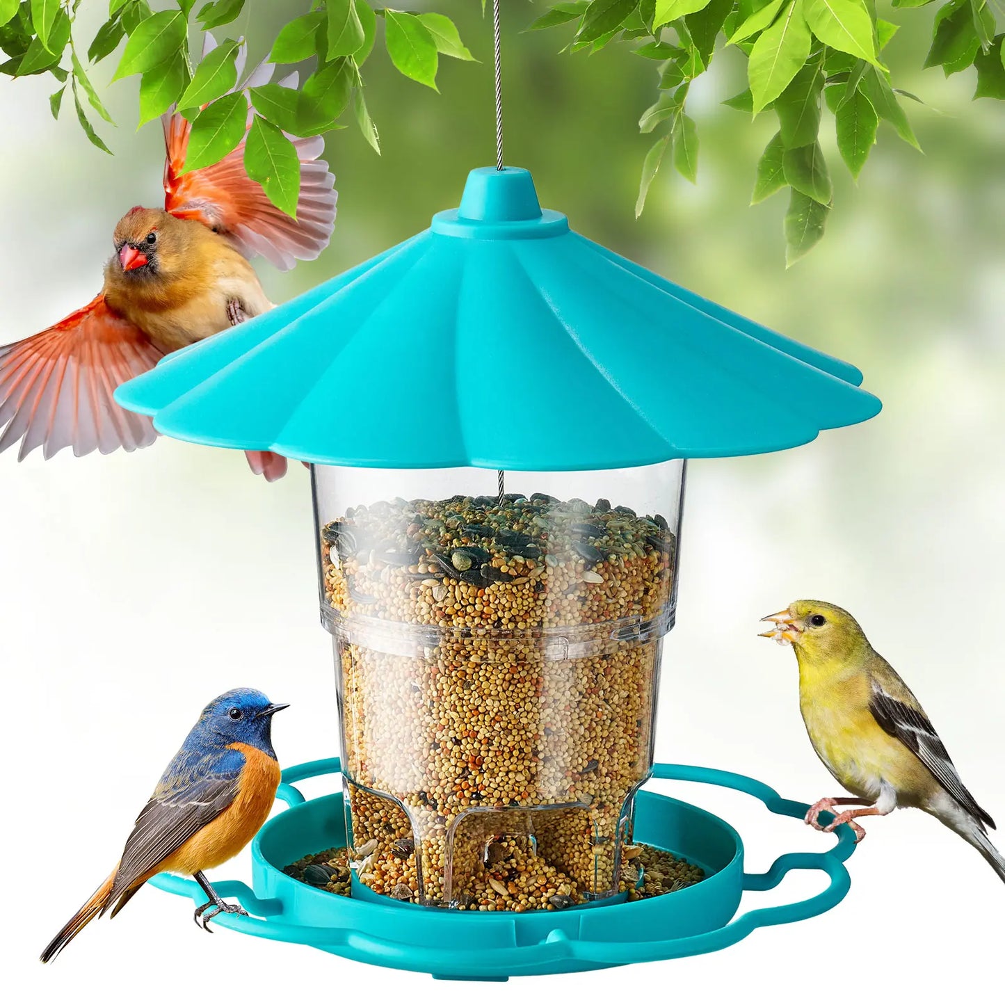 Adjustable Hopper Bird Feeder for Backyard Nature Watching with Rainproof Roof & Squirrel Baffle Design Holds 2.5 Lbs of Seed for Extended Feeding Periods