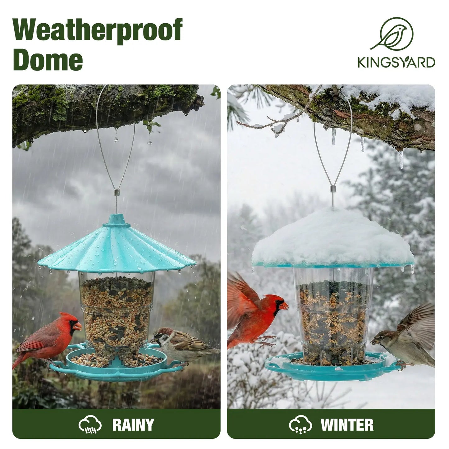Adjustable Hopper Bird Feeder for Backyard Nature Watching with Rainproof Roof & Squirrel Baffle Design Holds 2.5 Lbs of Seed for Extended Feeding Periods