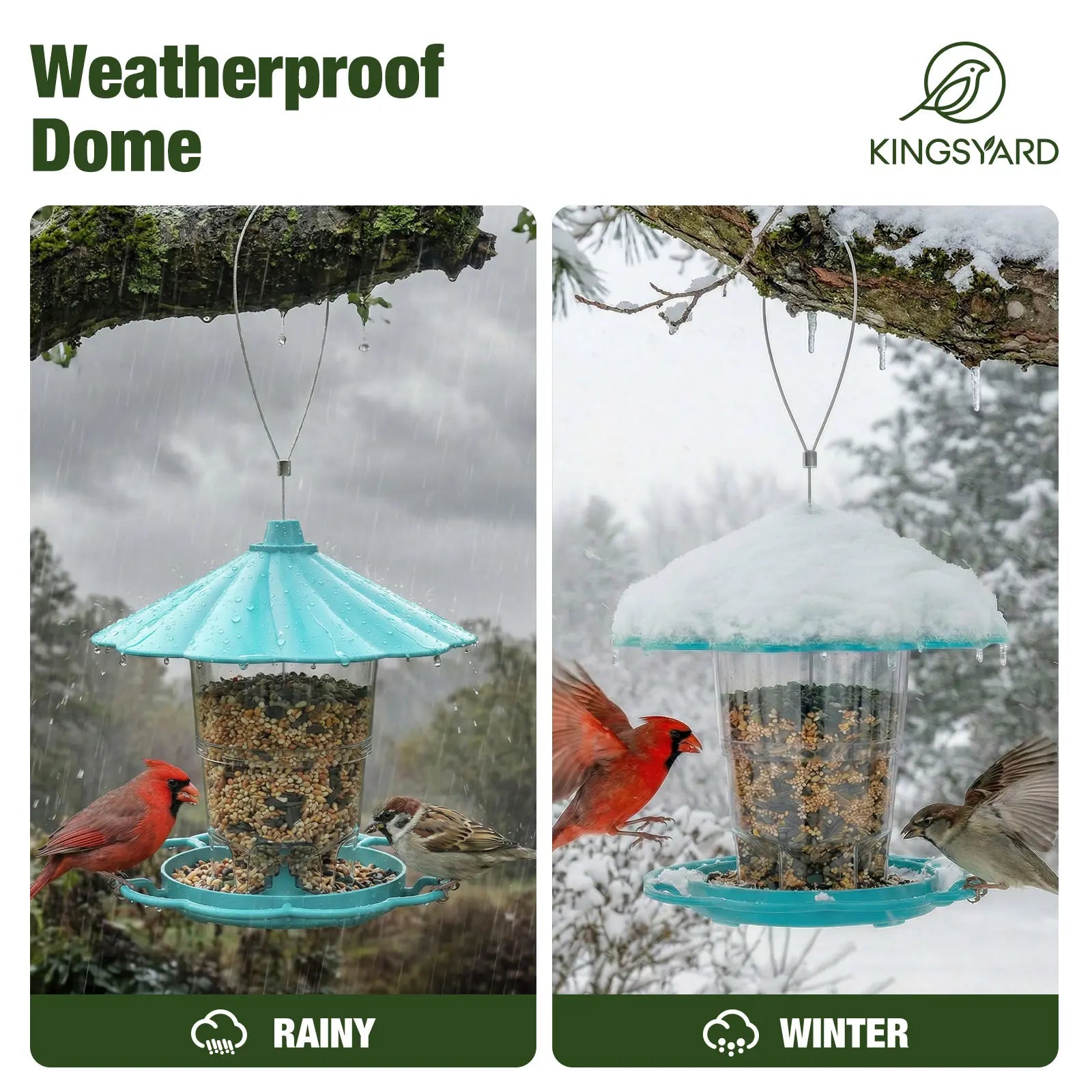 Adjustable Hopper Bird Feeder for Backyard Nature Watching with Rainproof Roof & Squirrel Baffle Design Holds 2.5 Lbs of Seed for Extended Feeding Periods