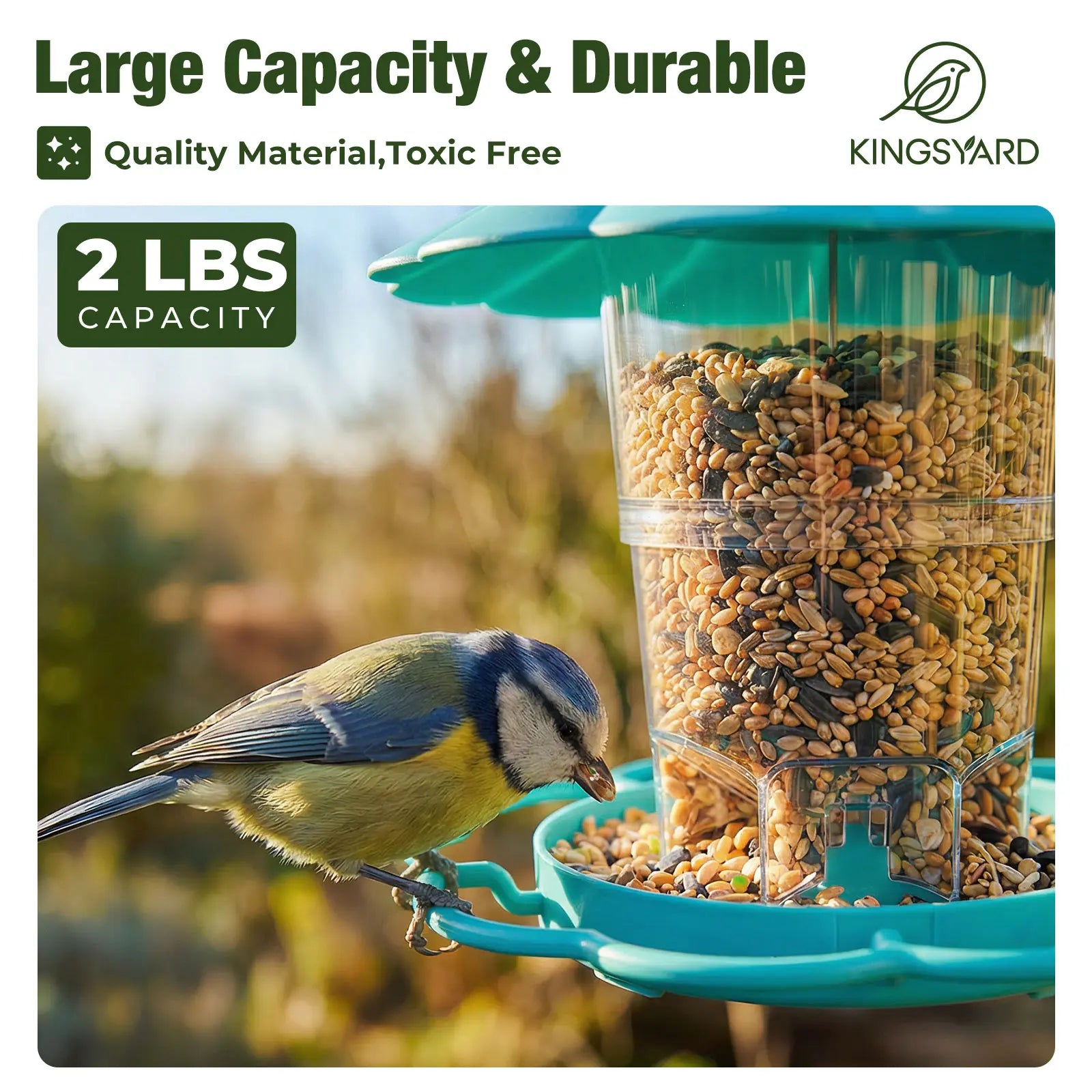 Adjustable Hopper Bird Feeder for Backyard Nature Watching with Rainproof Roof & Squirrel Baffle Design Holds 2.5 Lbs of Seed for Extended Feeding Periods