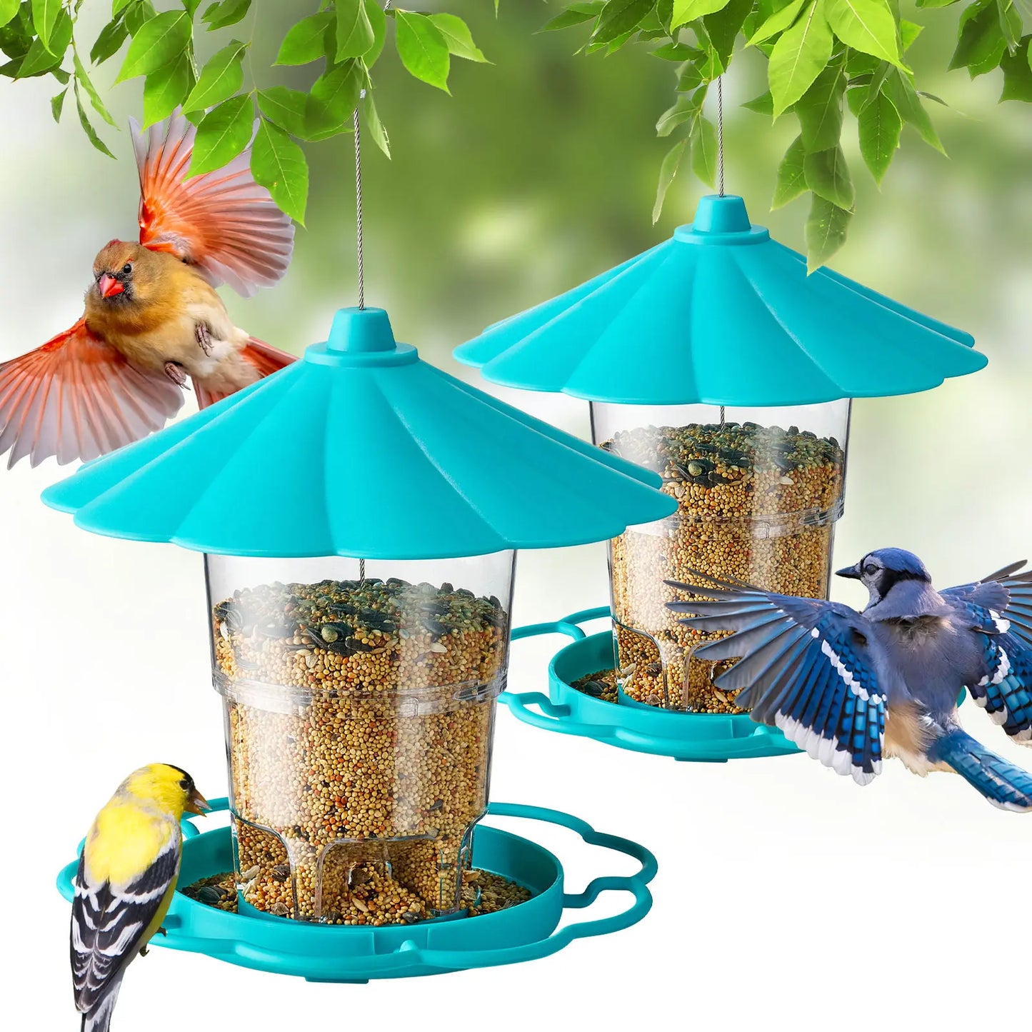 Adjustable Hopper Bird Feeder for Backyard Nature Watching with Rainproof Roof & Squirrel Baffle Design Holds 2.5 Lbs of Seed for Extended Feeding Periods