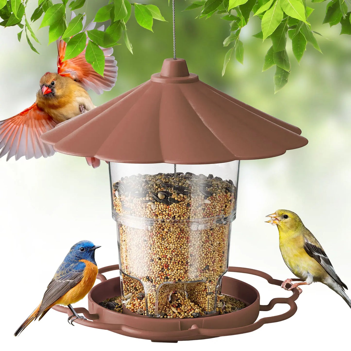 Adjustable Hopper Bird Feeder for Backyard Nature Watching with Rainproof Roof & Squirrel Baffle Design Holds 2.5 Lbs of Seed for Extended Feeding Periods