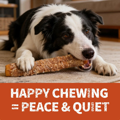 【Petlovers】Big Size Chicken Wrapped Beef Hide Dog Chew – Long Lasting Natural Treats for Aggressive Chewers (Medium & Large Dogs) | Just Try#Summervibes#Petlovers